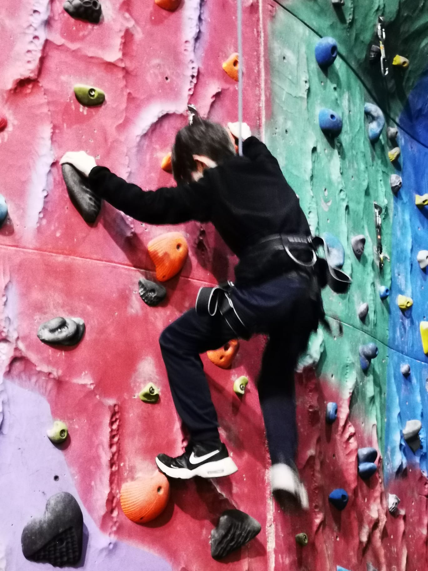 Scouts Climb High